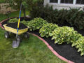 Как сделать лучше почву на садоводческом наделе