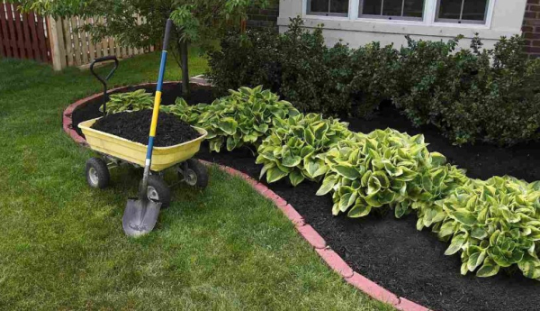 Как сделать лучше почву на садоводческом наделе