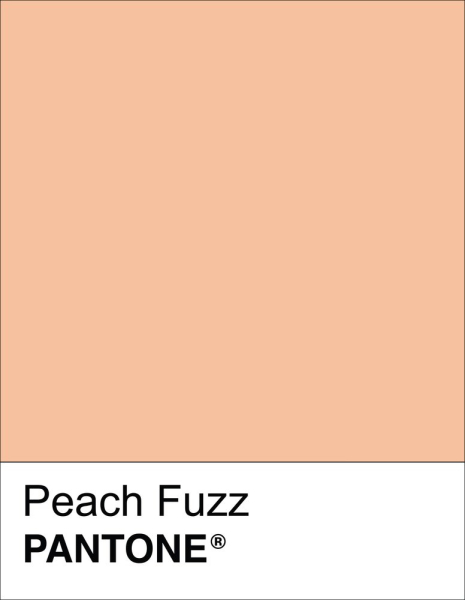 Цвет года 2024 – нежный персиковый